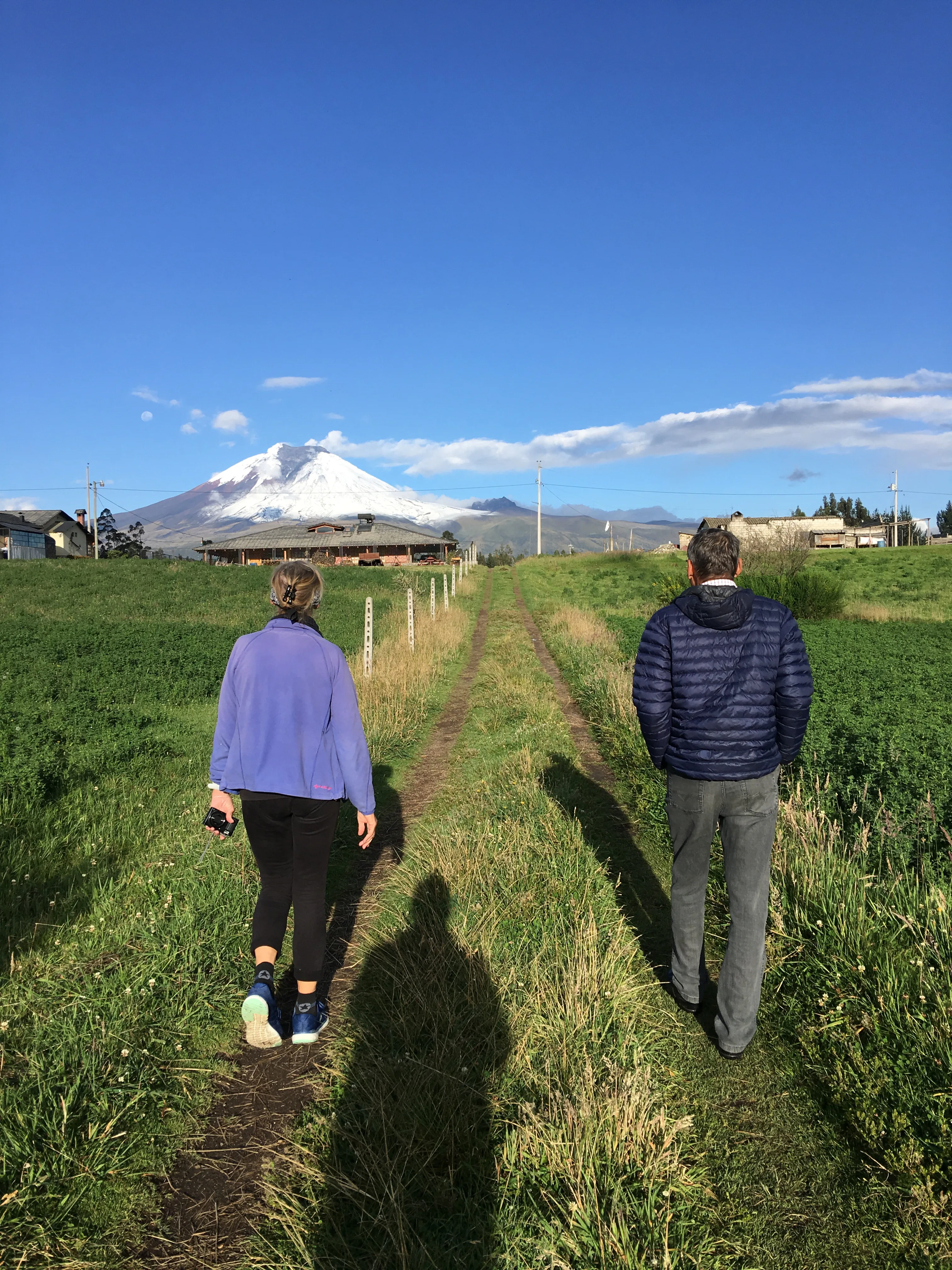 Walking toward Cuscungo with Cotopaxi in view