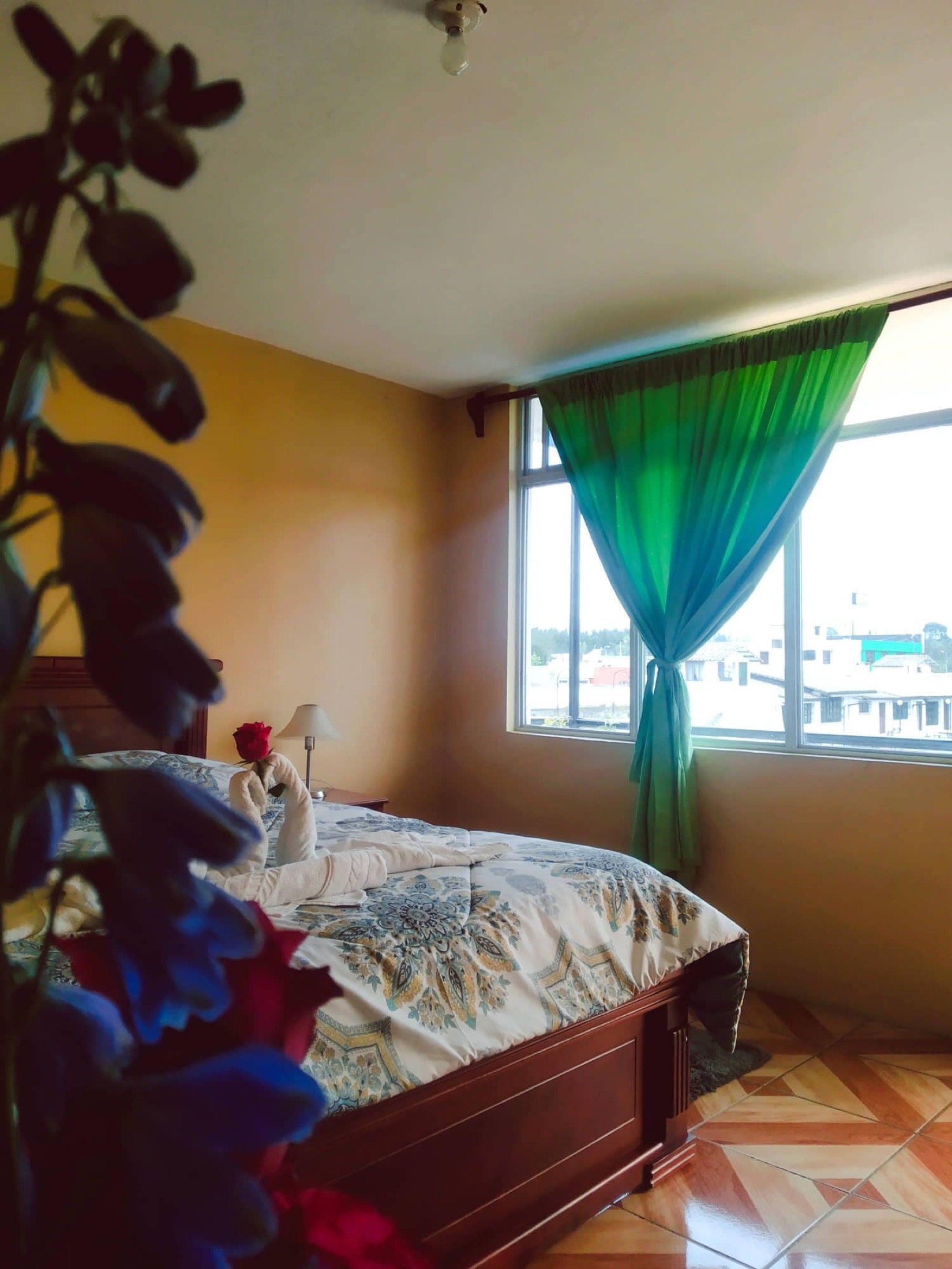 Suite estudio